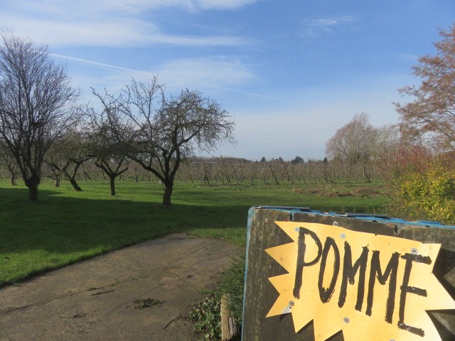 Marche à Aubers du 16 février 2021 (13)