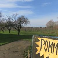 Marche à Aubers du 16 février 2021 (13)
