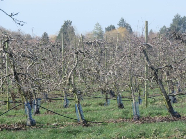 Marche à Aubers du 16 février 2021 (12)