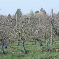 Marche à Aubers du 16 février 2021 (12)