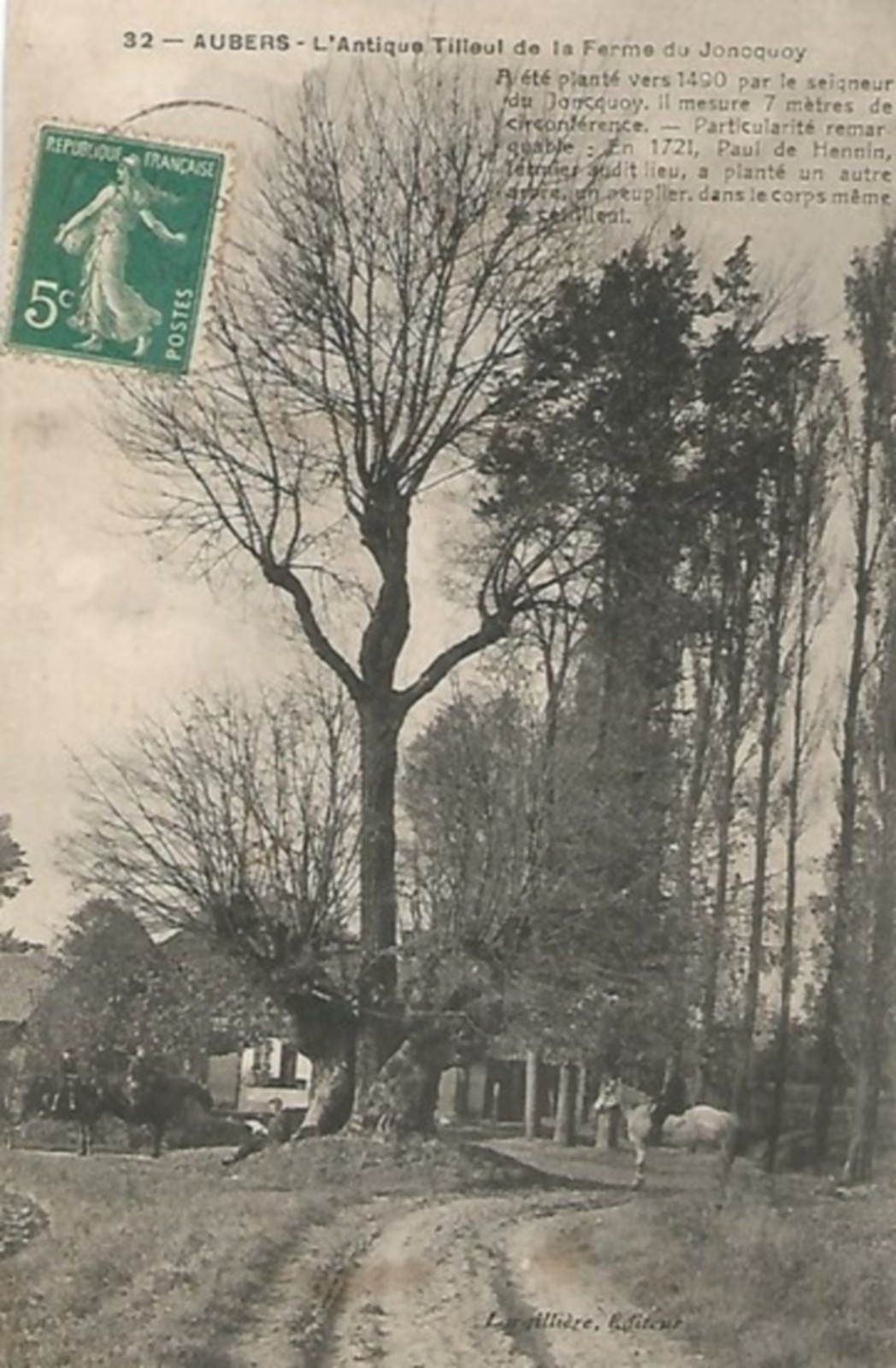 Vieille carte postale : tilleul de la ferme du Jonquoy à Aubers 